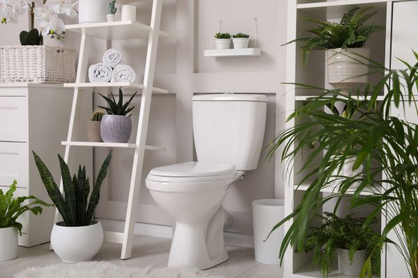 Cost of Toilet Repair in Port Charlotte