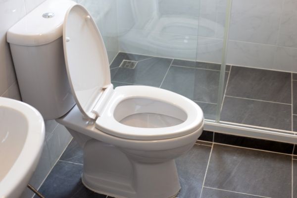 Toilet Replacement in Port Charlotte