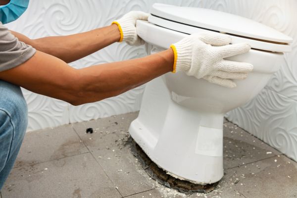 Cost of Toilet Removal in Port Charlotte