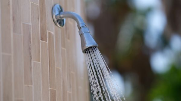 Cost of Showerhead Repair in Port Charlotte