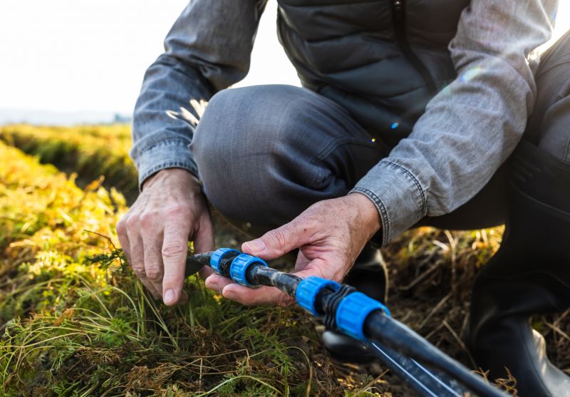 Fall Maintenance Work